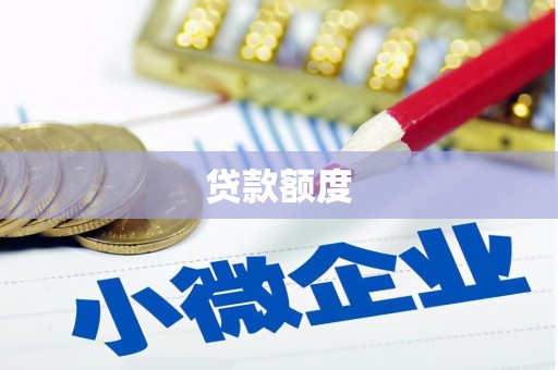 聂荣贷款额度