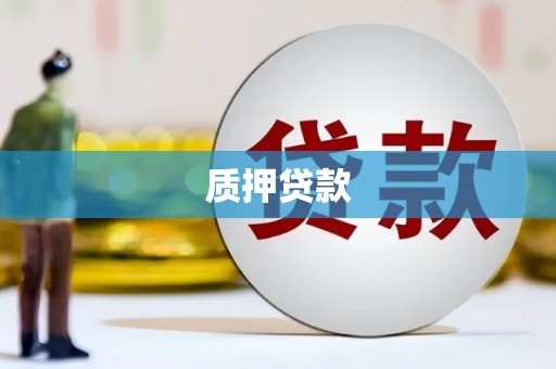 离石质押贷款