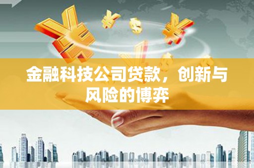 石排金融科技公司贷款，创新与风险的博弈