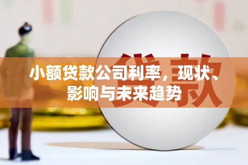 沈河小额贷款公司利率，现状、影响与未来趋势