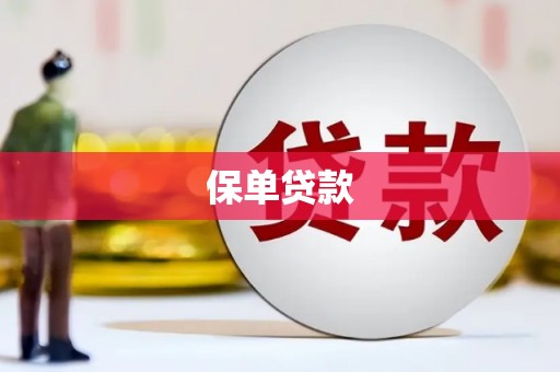 盖州保单贷款