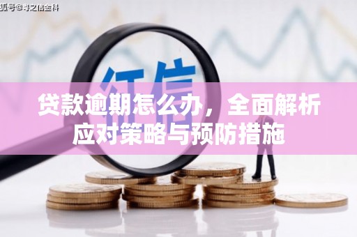 勉县贷款逾期怎么办，全面解析应对策略与预防措施