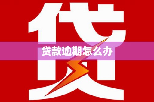东区贷款逾期怎么办