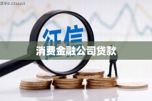 沧县消费金融公司贷款