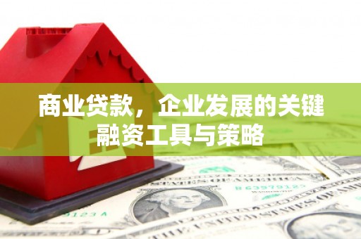 巍山商业贷款，企业发展的关键融资工具与策略