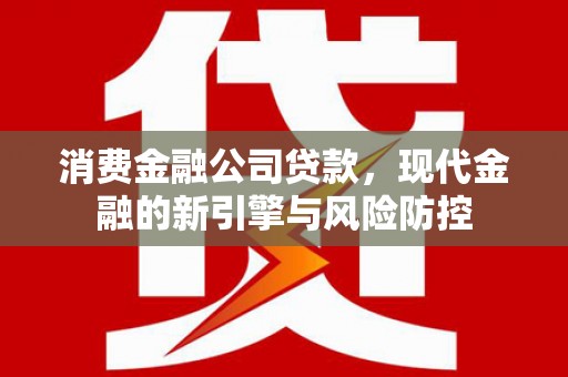 武鸣消费金融公司贷款，现代金融的新引擎与风险防控