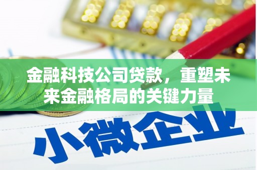 玛曲金融科技公司贷款，重塑未来金融格局的关键力量