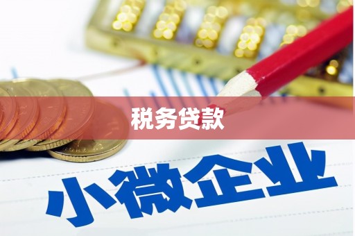 阳东税务贷款