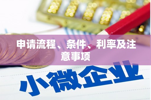 日土申请流程、条件、利率及注意事项