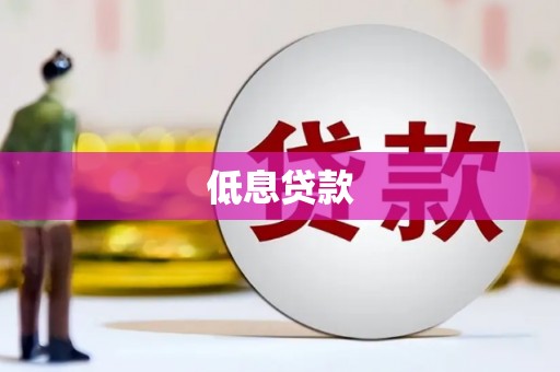 巩留低息贷款