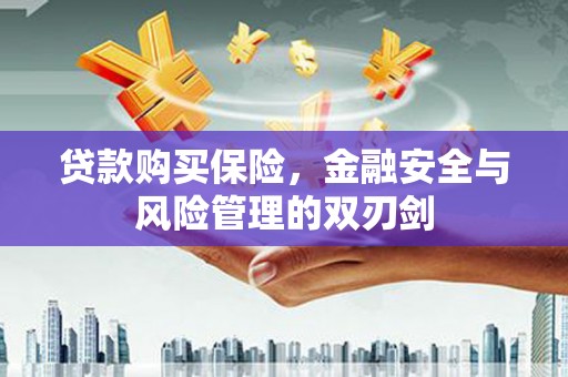 信阳贷款购买保险，金融安全与风险管理的双刃剑