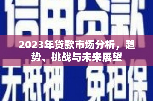 海兴2023年贷款市场分析，趋势、挑战与未来展望