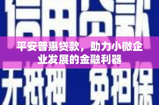 花地玛堂区平安普惠贷款，助力小微企业发展的金融利器