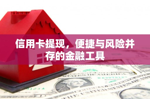 横山信用卡提现，便捷与风险并存的金融工具