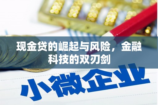 大溪现金贷的崛起与风险，金融科技的双刃剑