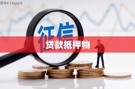 贡嘎贷款抵押物