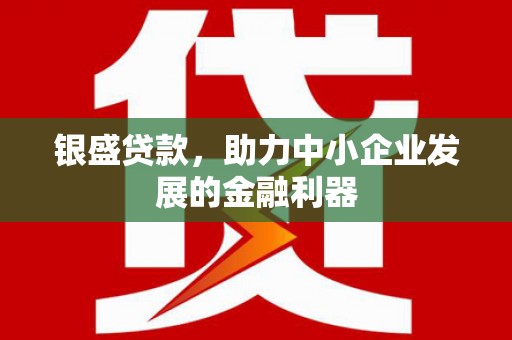 岱山银盛贷款，助力中小企业发展的金融利器