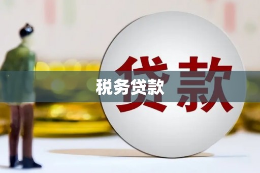 龙潭税务贷款