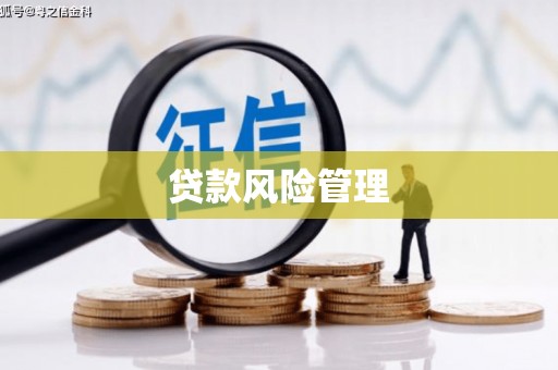 中正贷款风险管理