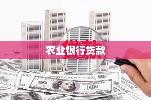 保定农业银行贷款