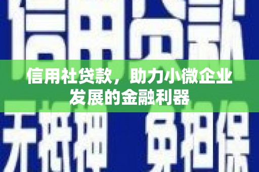 嵩县信用社贷款，助力小微企业发展的金融利器