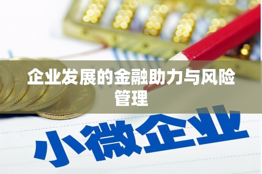 佳县企业发展的金融助力与风险管理