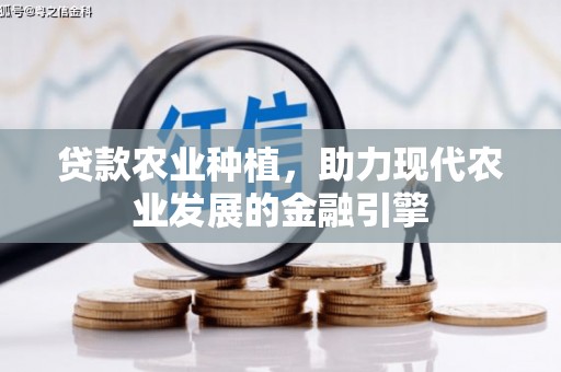 顺庆贷款农业种植，助力现代农业发展的金融引擎