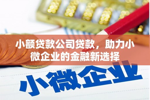 临淄小额贷款公司贷款，助力小微企业的金融新选择