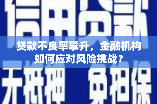 华阴贷款不良率攀升，金融机构如何应对风险挑战？