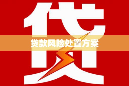 南丹贷款风险处置方案