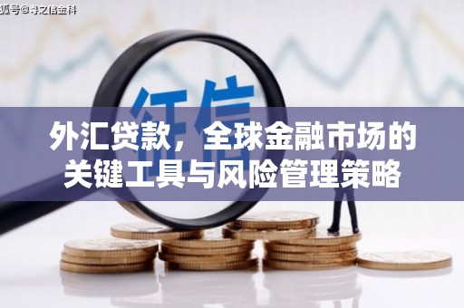 泸水外汇贷款，全球金融市场的关键工具与风险管理策略