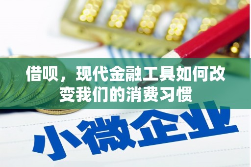 民雄借呗，现代金融工具如何改变我们的消费习惯