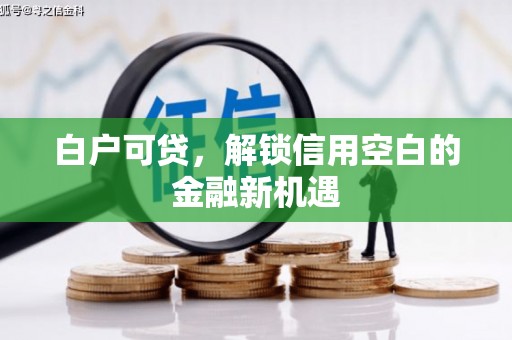 施甸白户可贷，解锁信用空白的金融新机遇