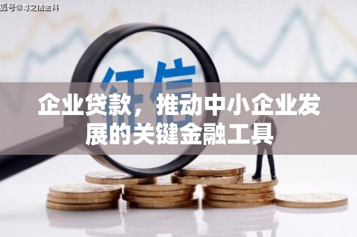 新林企业贷款，推动中小企业发展的关键金融工具