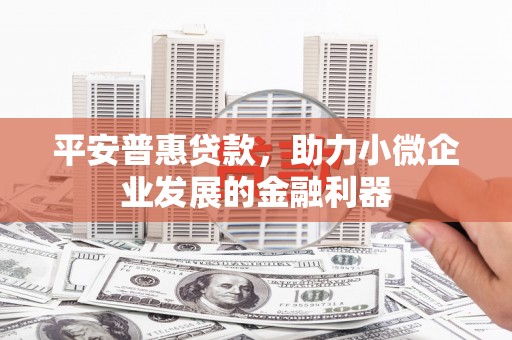 鹤庆平安普惠贷款，助力小微企业发展的金融利器