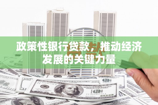 路环岛政策性银行贷款，推动经济发展的关键力量