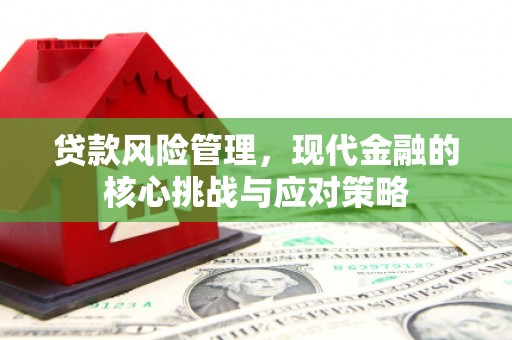 大祥贷款风险管理，现代金融的核心挑战与应对策略