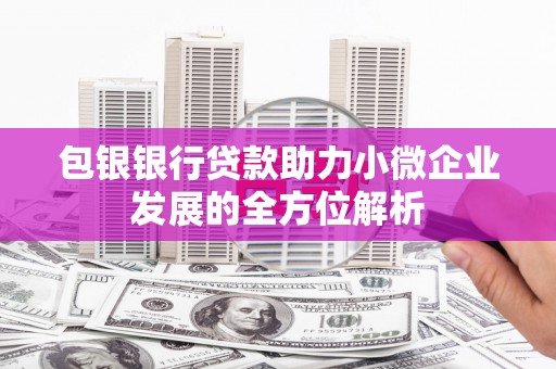 盐边包银银行贷款助力小微企业发展的全方位解析
