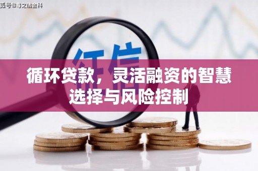 青冈循环贷款，灵活融资的智慧选择与风险控制