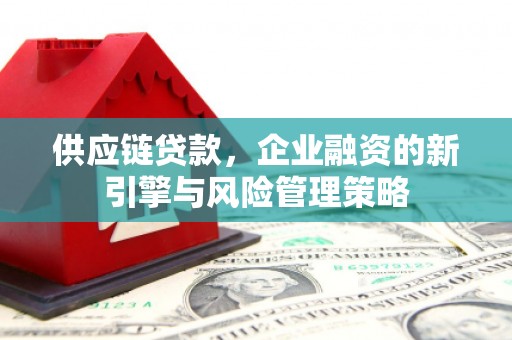 卢氏供应链贷款，企业融资的新引擎与风险管理策略
