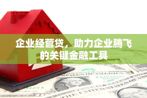 阳新企业经营贷，助力企业腾飞的关键金融工具