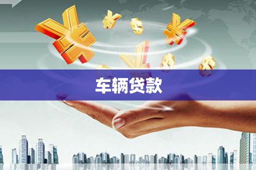 林园车辆贷款