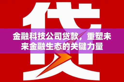 茂林金融科技公司贷款，重塑未来金融生态的关键力量