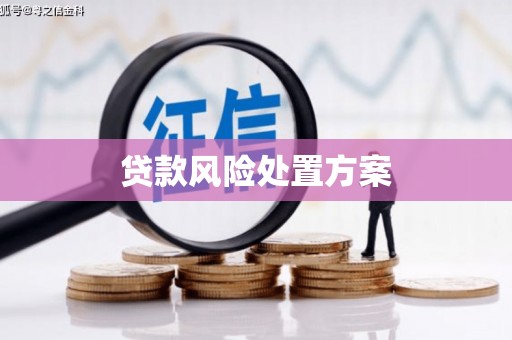 余江贷款风险处置方案