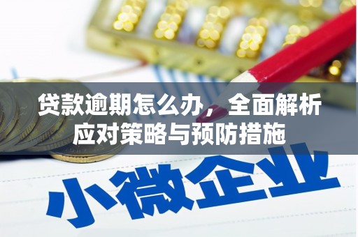 太湖贷款逾期怎么办，全面解析应对策略与预防措施