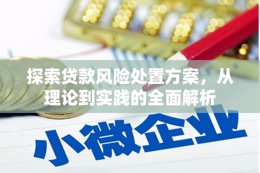 台州探索贷款风险处置方案，从理论到实践的全面解析