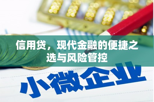 宜章信用贷，现代金融的便捷之选与风险管控