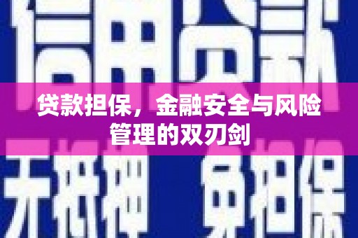 南头贷款担保，金融安全与风险管理的双刃剑
