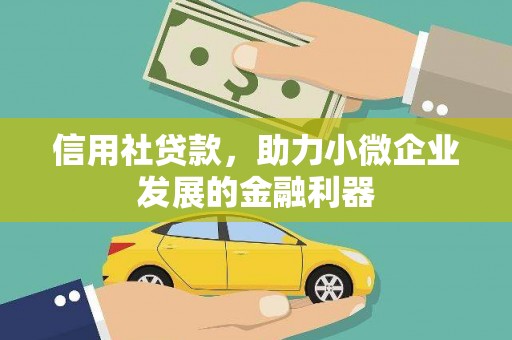 苑里信用社贷款，助力小微企业发展的金融利器