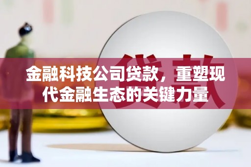 雨花台金融科技公司贷款，重塑现代金融生态的关键力量